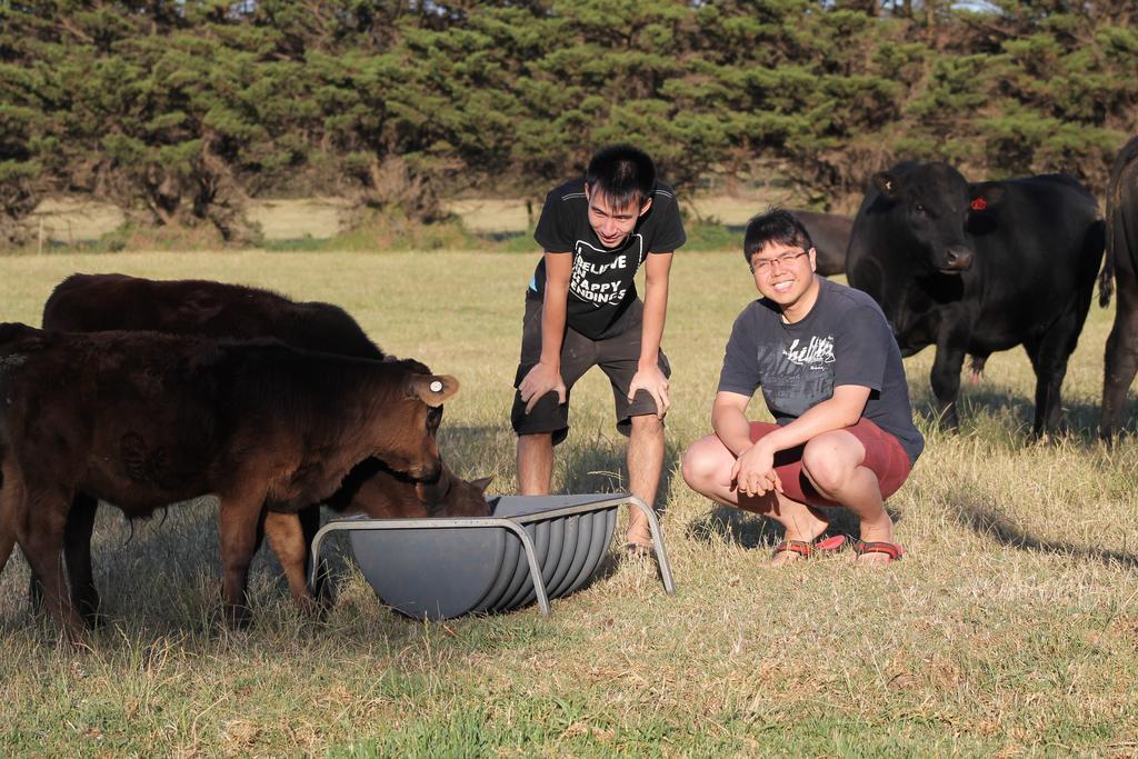 Bimbadeen Phillip Island Farm Retreats Ventnor Exterior foto